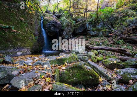 Herbstwald mit Steinmoos im koreanischen Bergbach Stockfoto