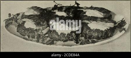 . Amerikanische Küche . GERIEBENE SHAD, DUCHESSE KARTOFFEL garnieren mit Petersilie, Zitrone und Radieschen.Duchesse Kartoffel zu einem Pint heißer geriebener Kartoffeln fügen Sie twotablespoonfuls Butter, einen halben Teelöffel Salz, die geschlagenen Eigelb von drei Augen und genug heiße Milch, um die Mischung leicht durch einen Zwangsack zu lassen. Spargel in Form waschen, abkratzen und in halbe Längen einen Bund grünen Spargel schneiden und fünfzehn Minuten in einer Tasse geriebener Muskatnuss oder etwas Muskatnuss kochen. Dies sollte zu einem verysteifen Teig gearbeitet werden, und in kleinen Stückchen über die Größe einer Walnuss gebacken, leicht abgeflacht und setzen fa Stockfoto