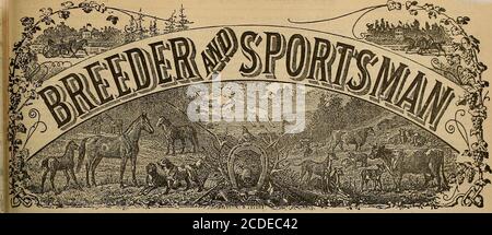 . Züchter und Sportler . SSM^s VIERUNDZWANZIG SEITEN.. SAN FRANCISCO. SAMSTAG, 24. MAI 1890. 8UBSCHIPTI0N FÜNF DOLLAR PRO JAHR. WANDERNDER NUTER. Ein Besuch in Fresno – einige der Pferde inTraining – The Bemhard Stock Farm-Oregon Boy 5515 – PrincessAlice – The ShippeTrotters. Ich kaum kDow wo ich anfangen soll, wie ich bei eo maDytracks und Lagerfarmen innerhalb der letzten zehn Tage angerufen habe, daß ich meine Notizen entsetzlich durcheinander gebracht habe; Allerdings werde ich das beste I CID tun, damit Ihre Leser vielleicht wissen, was auf der lii.es, über die ich gereist bin, ist beingdooe. In Fresno, obwohl ich dort zu einer frühen Stunde in th Stockfoto