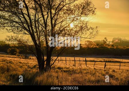 Ländliche Landschaft. Pampa Biome. Winterdämmerung und intensive Kälte. Negative Temperaturen. Die Pampa ist eine typische Tiefebene Südamerikas, deren Hauptcharact Stockfoto