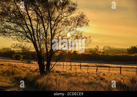 Ländliche Landschaft. Pampa Biome. Winterdämmerung und intensive Kälte. Negative Temperaturen. Die Pampa ist eine typische Tiefebene Südamerikas, deren Hauptcharact Stockfoto