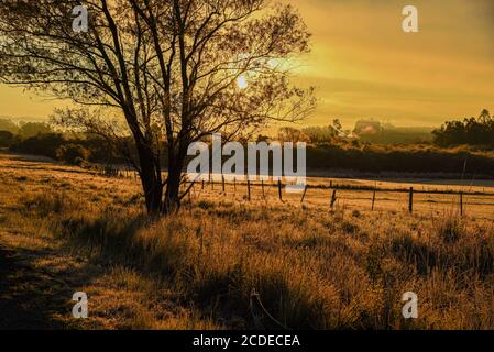 Ländliche Landschaft. Pampa Biome. Winterdämmerung und intensive Kälte. Negative Temperaturen. Die Pampa ist eine typische Tiefebene Südamerikas, deren Hauptcharact Stockfoto