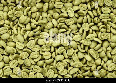 Grüne Kaffeebohnen Hintergrund. Strukturansicht von oben. Stockfoto