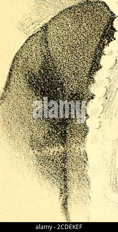 . Porträt und biographisches Album von Isabella County, mich . Stockfoto