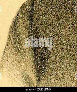 . Porträt und biographisches Album von Isabella County, mich . Stockfoto