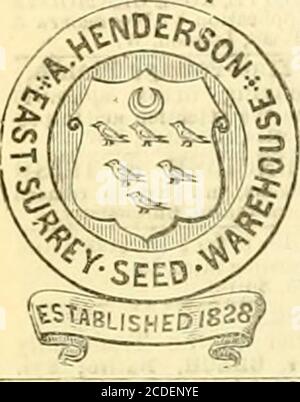 . Die Gärtnerchronik und landwirtschaftliche gazette . Holländische Blumenwurzeln.. Ein RCHIBALD HENDERSON J. bittet um die Bekanntgabe, dass er eine große Lieferung niederländischund anderer Wurzeln erhalten hat, die sorgfältig von den berühmtesten Züchtern ausgewählt wurden. DESKRIPTIVE und PRICEDCATALOGS sind jetzt bereit, con-tainiDE praktische Anweisungen für tni erfolgreich alle theadoptiert.:noice und SELECT LIST logues gratis und postfree auf Antrag. Sion Nursery, Thornton Heath.Rnrrev und im East Surrey SeedWarehouse, College Grounds, Northend, Croydon. NeuKataiogue der Pflanzen. Dutch Bulbs, &c, . ROHEHT PARKER bejrs to announ Stockfoto