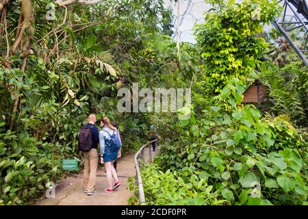 Besucher in den geodätischen Biom-Kuppeln des Regenwaldes im Eden Project, einer Touristenattraktion in Cornwall. Stockfoto