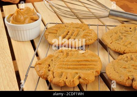 Frisch gebackene Erdnussbutterkekse auf einem Kühlregal Stockfoto