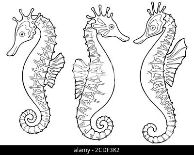 Seepferd Grafik schwarz weiß isoliert Skizze Set Illustration Vektor Stock Vektor