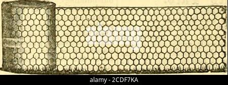 . Die Gärtnerchronik und landwirtschaftliche gazette . Bad- und Gasarbeiten in der Stadt oder auf dem Land errichtet. Der Handel lieferte.Gartenbaugebäude jeder Beschreibung von s.. GD. Pro Fuß oberflächlich, inklusive Mauerwerk. 20 Fuß durch 10 Füße30 Fuß durch 12 Füße40 Fuß durch 15 Fuß Preislisten, Pläne und Schätzungen weitergeleitet auf Antrag an T. S. TRUSS, C.E., Consulting Horticultural Engineer, &c., Sole Manufacturer, FRIAR STREET, BLACKFRIARS ROAD, LONDON, S.E. Beobachten - die Stadt OJices sind jetzt Memoved to the Manufactory. Friar Street. NEUES, VERBESSERTES PREMIUM-DRAHTNETZ. AUSGEZEICHNET MIT EINEM ERSTKLASSIGEN ZERTIFIKAT Stockfoto