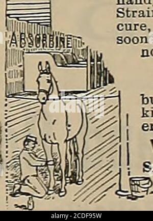 . Züchter und Sportler . Ich habe mich besonders um ihn gebemüht und es mit den besten Ergebnissen fair probeprobet, denn kein Pferd könnte bessere Füße haben, als er es jetzt hat.   Thos. H. Wilson sagt, was sie alle sagen. HABKOLDS HUFSALBE nicht nur alle Krankheiten der Tlie Pferde Fuß, bnt hält gut, Füße absolut gesund. PREISE – l**; lb. Box, SI; 3 lb. Eimer, S2;5 1b. Eimer, S3; 10 1b. Eimer, S5, F. O. B. Cblcago Hergestellt ausschließlich durch HARROI.D & CO., 1013 Freimaurer Tempel ? Chicago, III Schreiben Sie für unseren Stiefel FBE Foot of the Horse. Sentfree, wenn dieses Papier la erwähnt.Thompson Hosier, Los Angeles Stockfoto