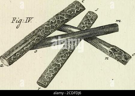 . Traité sur le vénin de la vipere, sur les poisons americains, sur le laurier-cerise et sur quelques autres poisons vegetaux. On y a Joint des Observations sur la structure primitive du Corps animal. Différentes expériences sur la Reproduktion des nerfs et la description d'un nouveau Canal de l'oeil . JFùf.-TI. Stockfoto