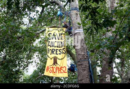 Ein Stop HS2-Aktivisten entrollt ein Banner in Bäumen vor der Euston Station in London, als Aktivisten ein Lager innerhalb der Bäume als Teil des breiteren Extinction Rebellion Wochenende der Aktion im ganzen Land aufsetzten. Stockfoto