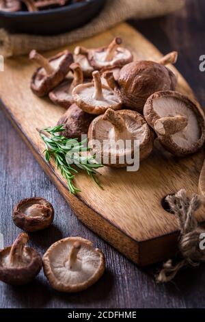 Köstliche Shiitake-Pilze mit Rosmarin auf Holzbrett schneiden. Stockfoto
