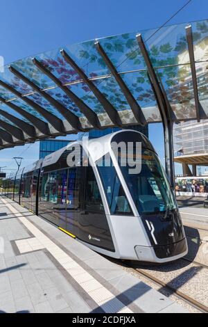 Luxemburg - 24. Juni 2020: Tram Luxtram Zug Transitverkehr Luxexpo Bahnhof in Luxemburg. Stockfoto