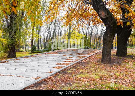 Treppe in einem Park mit Blättern bedeckt im Herbst Tag Mit Sonnenlicht Stockfoto