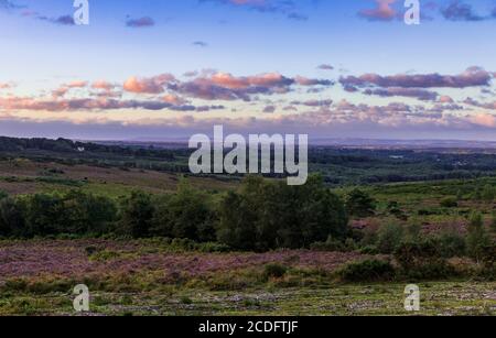 Sonnenaufgang über dem Ashdown Forest von Stone Hill in East Sussex südostengland mit den South Downs am Horizont Stockfoto