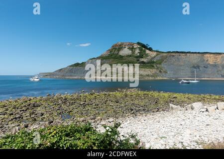 Chapman's Pool' in der Isle of Purbeck Dorset Stockfoto