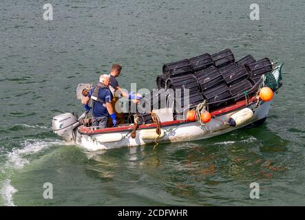 Garnelenfischer, die mit einem Boot voller Garnelentöpfe fahren. Stockfoto