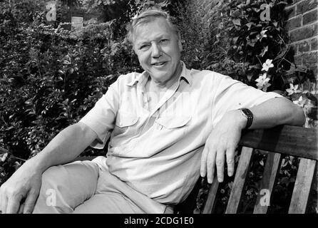 David Attenborough Portrait in seinem Haus in Richmond, Surrey. 23. August 1991. Foto: Neil Turner Stockfoto