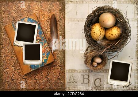 Alte Bücher mit Vogelnestern auf Grunge Stockfoto