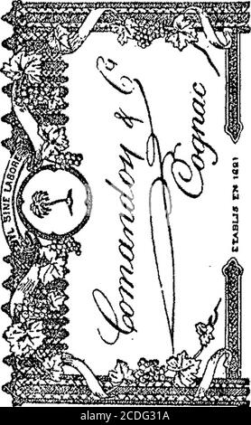 . Boletín Oficial de la República Argentinien. 1906 1ra sección . Stockfoto