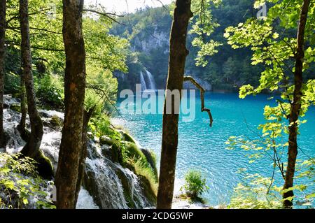 Plitvice, Kroatien-Juli 2019. Nationalpark Plitvicer Seen, schöne Landschaft mit Wasserfällen, Seen und Wald, Kroatien. Familienziel Stockfoto