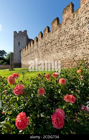 Mittelalterliche Türme und Mauern der Carrarese Burg in Este. Provinz Padua, Venetien, Italien, Europa. Stockfoto