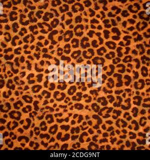 Leopard Haut Hintergrund oder Textur Stockfoto