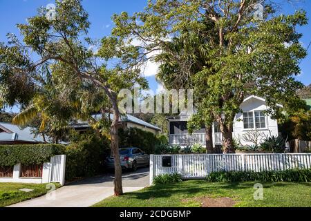 Australisches freistehendes Haus in Avalon mit heimischen Garten und Pflanzen, Sydney, Australien Stockfoto