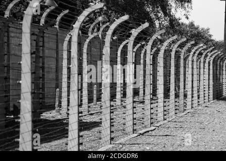 Drahtzaun im Konzentrationslager Auschwitz Stockfoto