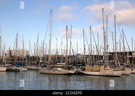 Die Segelboote werden im Hafen in Barcelona, Spanien, geparkt. Stockfoto