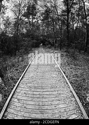 The Woodlands TX USA - 01-09-2020 - Wooden Trail Bridge In den Wald Stockfoto