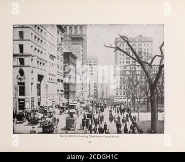 . Greater New York Illustrated : über hundertfünfzig fotografische Ansichten der wichtigsten Stadt der westlichen Hemisphäre. . Stockfoto