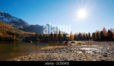 Val di Campo - Engadina (CH) - Herbstansicht Stockfoto