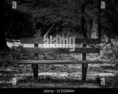 The Woodlands TX USA - 02-28-2020 - Alte Holzbank In Woods 2 in B&W Stockfoto