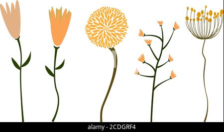 Sammlung von abstrakten Blumen isoliert auf weißen Vektor-Illustration Stock Vektor