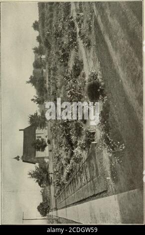 . BERICHT DES BILDUNGSMINISTERS, ONTARIO, 1909 . m 72 O A ?f. Stockfoto