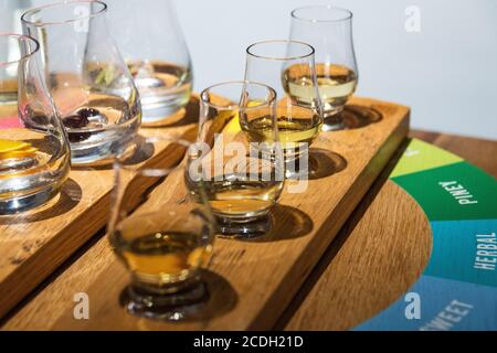 Whisky-Verkostung während der Brennerei-Tour, Holyrood Distillery, Edinburgh, Schottland Stockfoto
