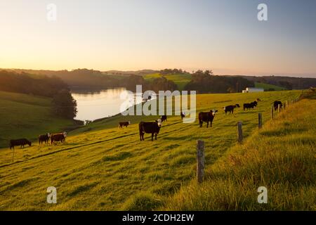Tilba Tilba Landschaft in Australien Stockfoto