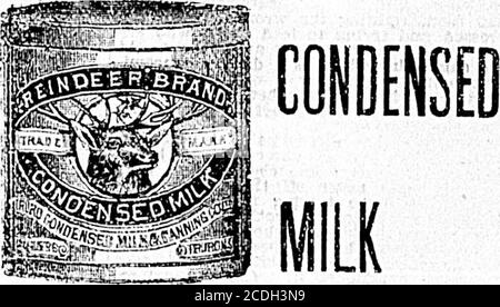 . Tageskolonist (1898-12-15) . Für Kleinkinder, lor Hotels und für den Haushalt, ist der Graben wirtschaftliche und mostsatisfactable Milch auf dem Markt, r-* £WSCE, dass Sie die Rentier Marke Ret. Stockfoto