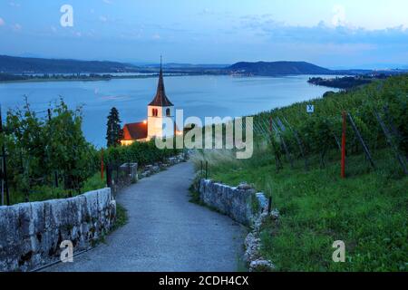 Abendlandschaft mit kurviger Straße und Kirche in den Weinbergen oberhalb von Ligerz, am Bielersee in der Schweiz. Stockfoto