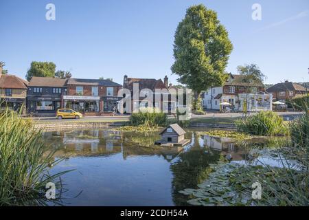 Der Dorfteich von otford in der Nähe von sevenoaks kent Stockfoto