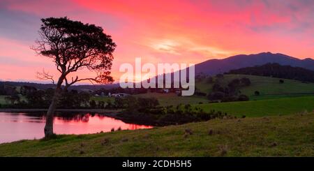 Mt Dromedary in der Nähe von Tilba in Australien Stockfoto