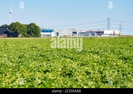 Google-Rechenzentrum auf dem Eemshaven in den Niederlanden Stockfoto