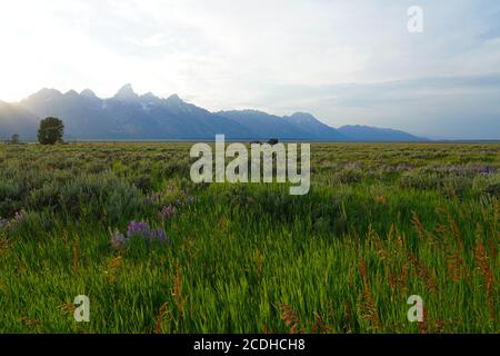 Sonnenuntergang über einer Scheune im historischen Viertel Mormon Row in Antelope Flats im Grand Teton National Park in Jackson, Wyoming, USA Stockfoto