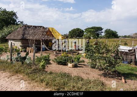 Ein traditionelles lehmziegelhaus mit Strohdach im ländlichen Mexiko in der Nähe von Teacapan. Ein zusätzliches Gebäude befindet sich im Bau. Stockfoto