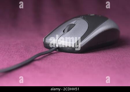 Computer-Maus Stockfoto