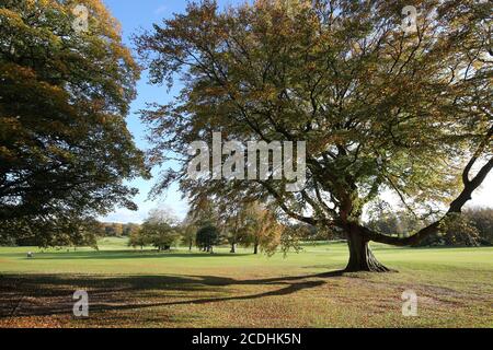 Ayr, Schottland, 29. Oktober 2019 Golfplatz Belleisle Park Credit : Alister Firth Stockfoto