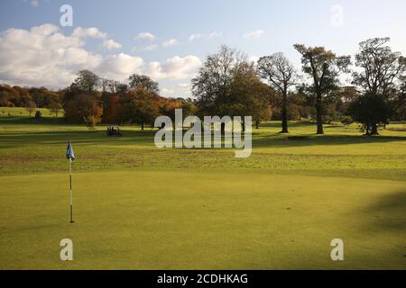 Ayr, Schottland, 29. Oktober 2019 Golfplatz Belleisle Park 18. Loch mit Buggy Credit : Alister Firth Stockfoto